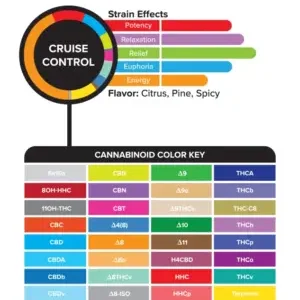 Alternative view of 3Chi True Strains Cannabis 2ml Pod–Cruise Control (Hybrid)
