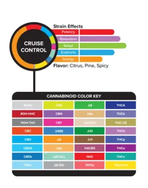 3Chi True Strains Cannabis 2ml Pod–Cruise Control (Hybrid) - Image 2