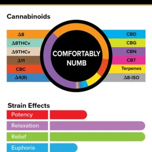 Alternative view of 3Chi True Strains Cannabis 2ml Pod–Comfortably Numb (Indica)