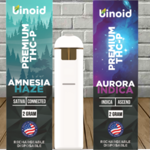 Binoid Premium THCP Disposable Vape 2g