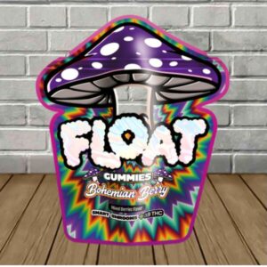 Float Mushroom Gummies | Smart Shrooms + D9 100mg - Image 3
