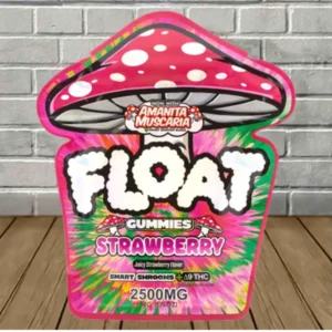 Float Mushroom Gummies | Smart Shrooms + D9 100mg - Image 8
