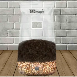 Alternative view of GROmagic All-In-One Mushroom Grow Bag