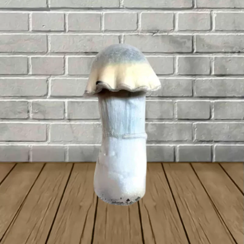 SporesMD Ghost Mushroom Liquid Culture 10ml - Image 2