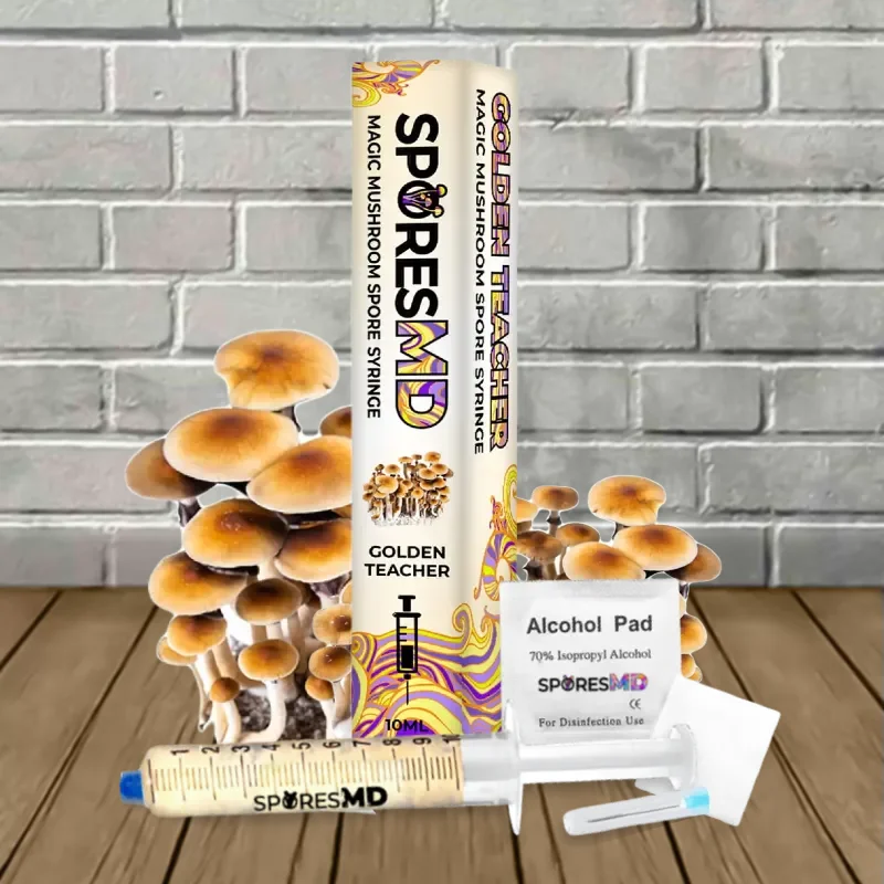 SporesMD Golden Teacher Mushroom Liquid Culture 10ml