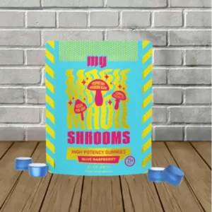 My Magic Shrooms High Potency Mushroom Gummies 10ct