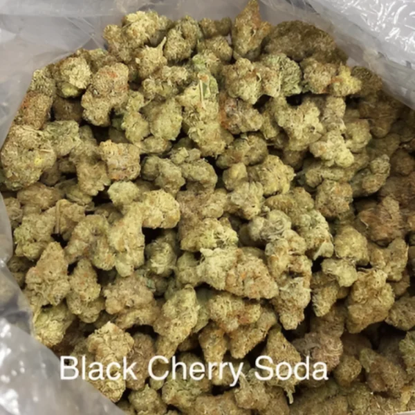 Purge High Potency Premium Exotic THCa Flower QP — DISCONTINUED - Image 12