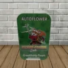 Samurai Squirrel Seeds Autoflowering Cannabis Seeds 5ct