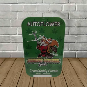 Samurai Squirrel Seeds Autoflowering Cannabis Seeds 5ct