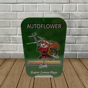 Samurai Squirrel Seeds Autoflowering Cannabis Seeds 5ct - Image 6