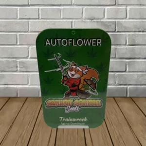 Samurai Squirrel Seeds Autoflowering Cannabis Seeds 5ct - Image 8
