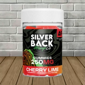 Silverback Hemp Co Delta-9 THC Gummies 250mg - Image 4