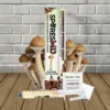 SporesMD Mexican Dutch King Mushroom Liquid Culture 10ml
