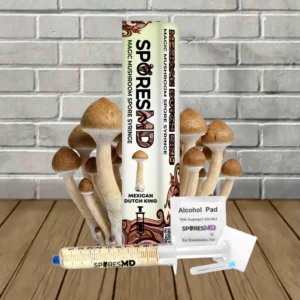 SporesMD Mexican Dutch King Mushroom Liquid Culture 10ml