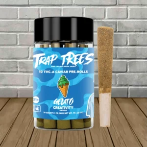 Trap Trees by Lil Baby THCa Kief Blunt Prerolls 10ct