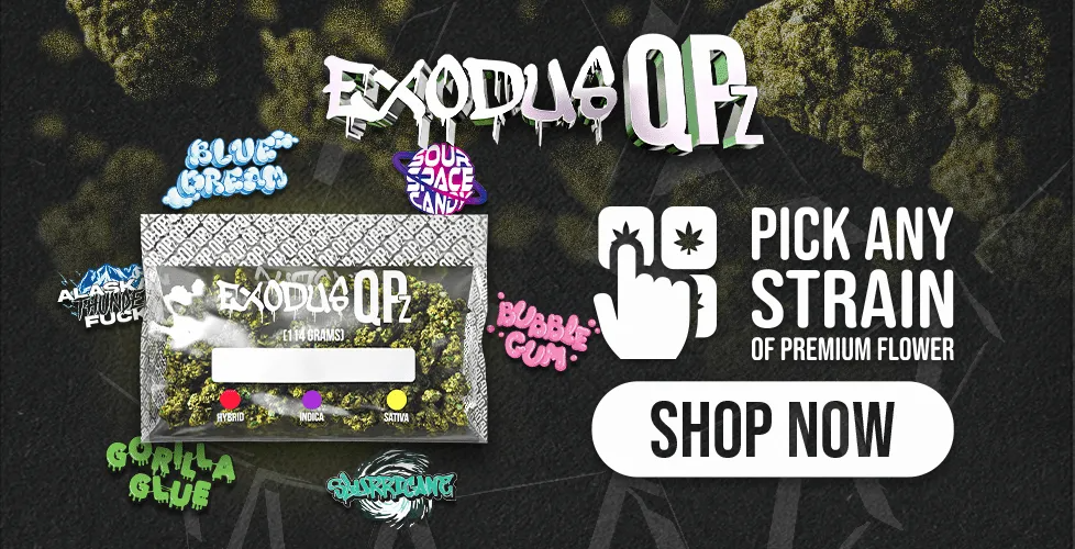 the great cbd shop