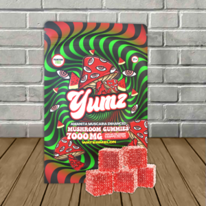 Yumz Lab Amanita Muscaria Mushroom Gummies 7000mg - Image 3