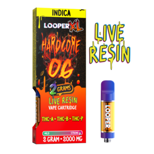 XL Series 2G: Hardcore OG - Image 2