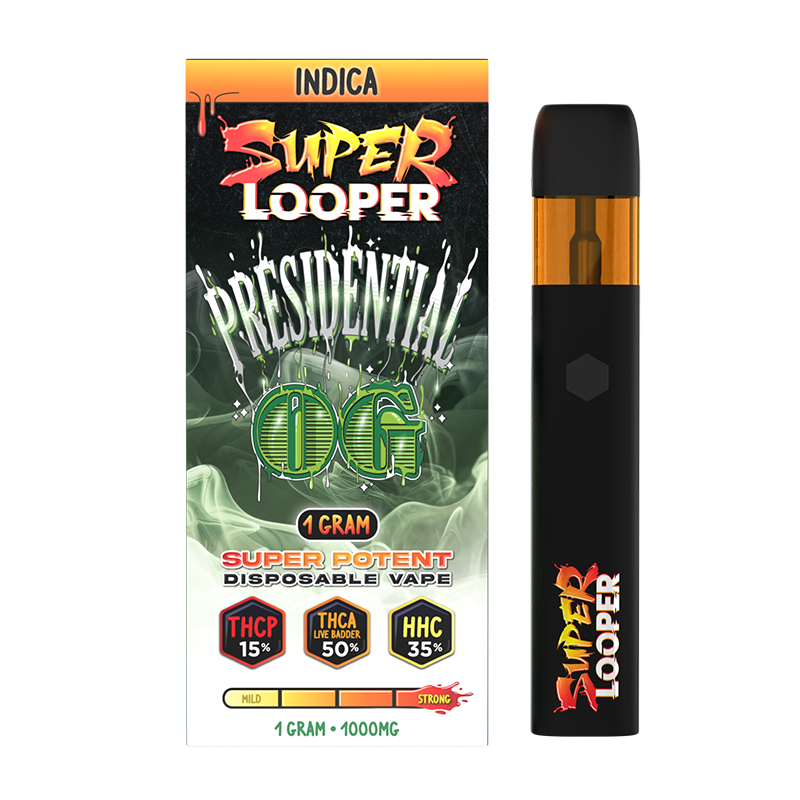 Super Looper 1G: Presidential OG - Image 2