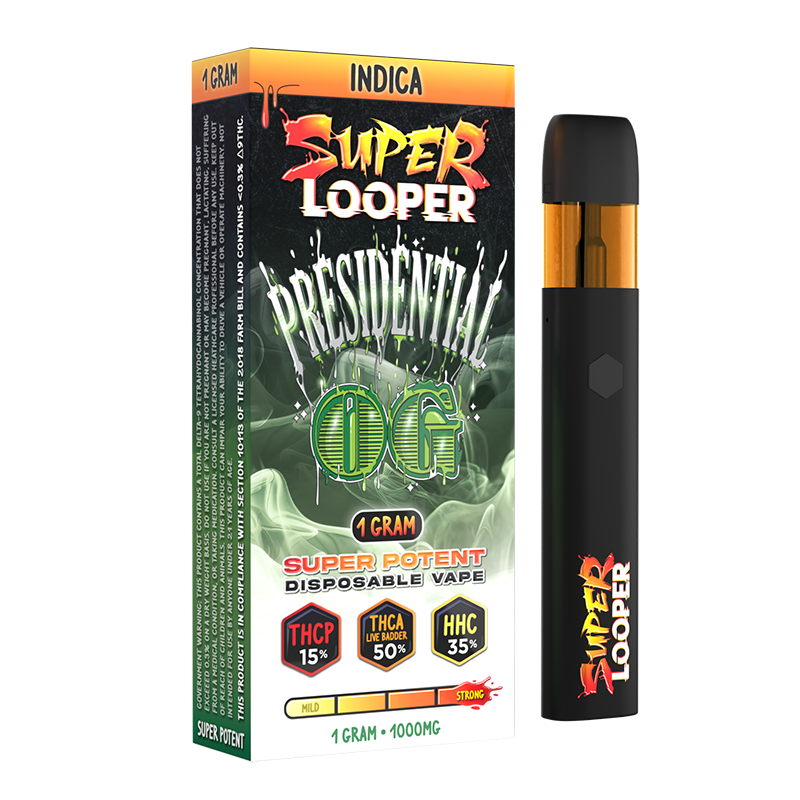Super Looper 1G: Presidential OG - Image 3